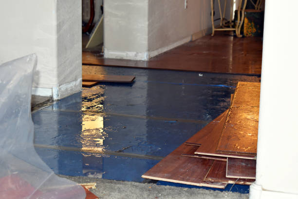Professional Basement Flood Cleanup technician working in Republic, PA